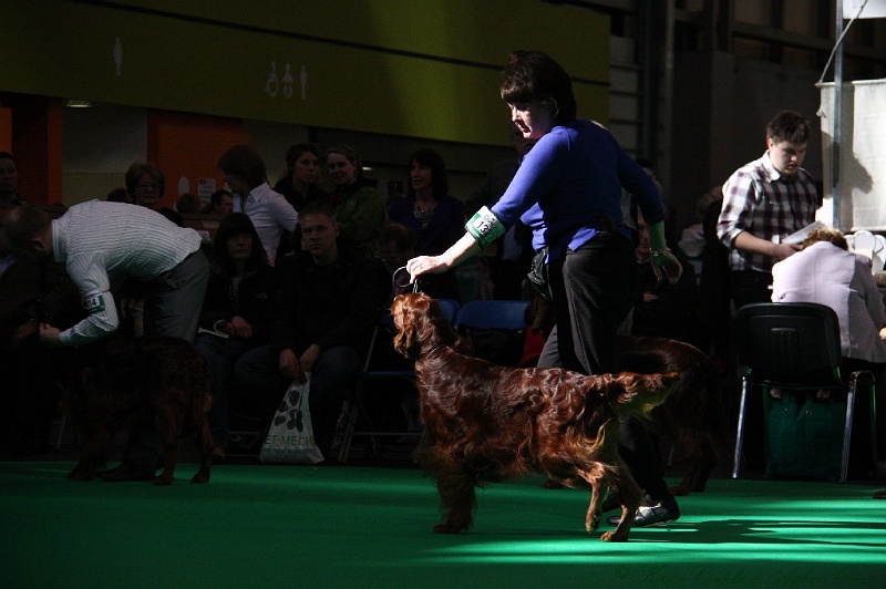 Crufts2011 587.jpg